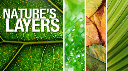 多张照片排版的设计技巧