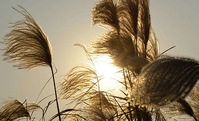 浅谈企业网站改版设计的方法